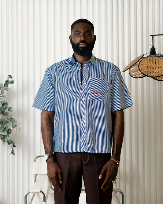 Blue stripe short sleeve shirt x brown linen pants